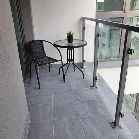 Premium Silver * ジェシュフ